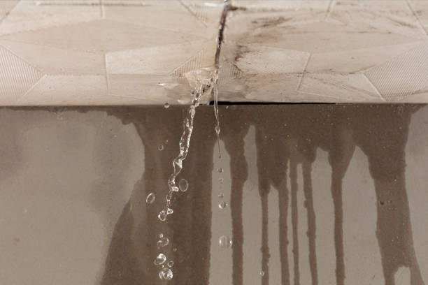 Professional Structural Drying technician working in Collinwood, TN